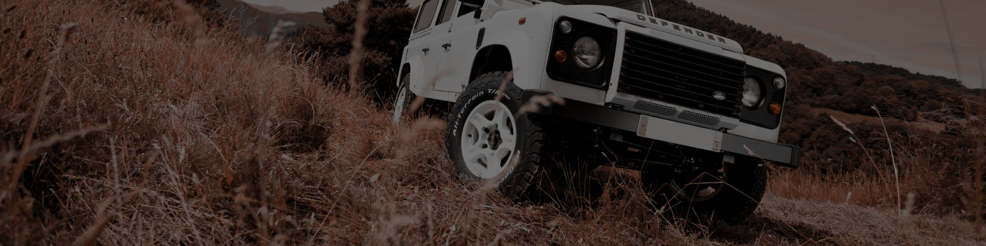 banner-marca-bfgoodrich_top.jpg